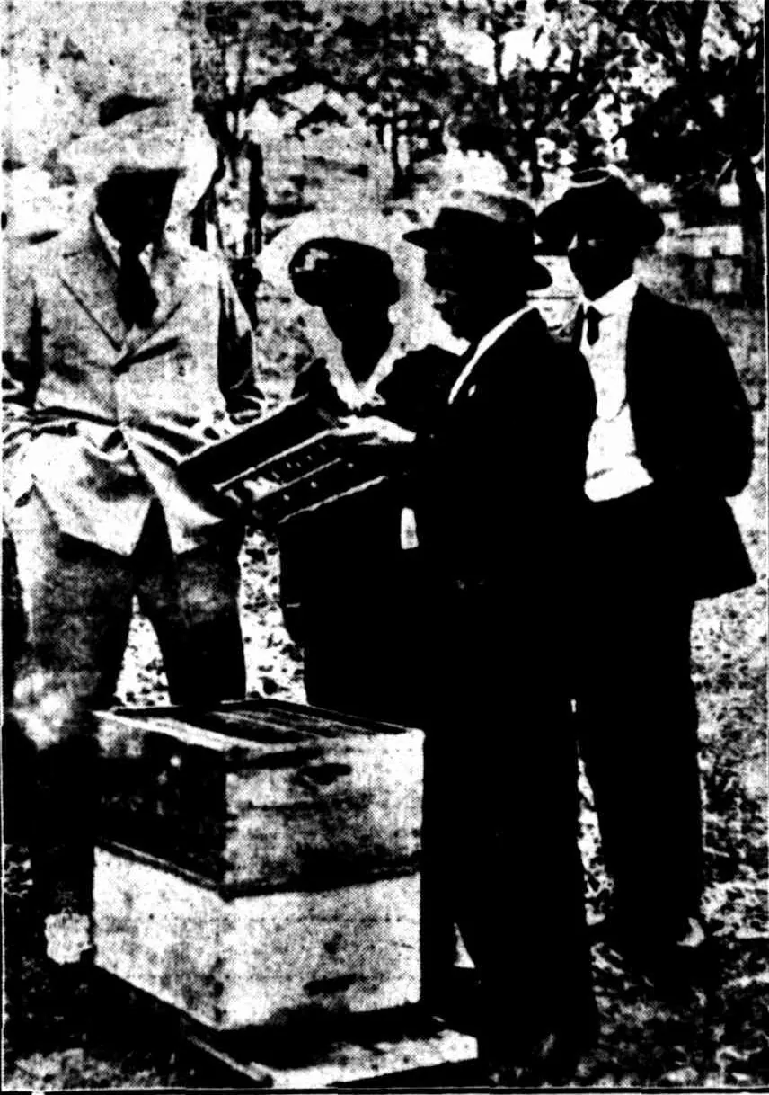 Four people at an apiary among trees, two hive boxes in front: a man in a light suit, Lady Doyle in a veiled hat looking at a frame of comb held out to her, and Conan Doyle, tall, in a dark coat with a bee net over his face.